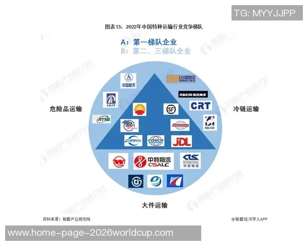 国内十大体育运动品牌全景解析与市场趋势展望